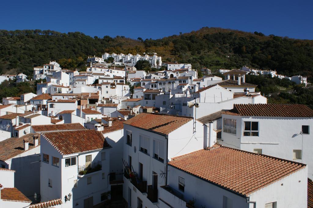 Casas Rurales Jardines Del Visir Хеналхуасил Екстериор снимка